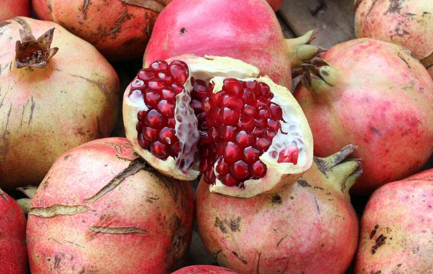 Goran Kovačić/Pixsell