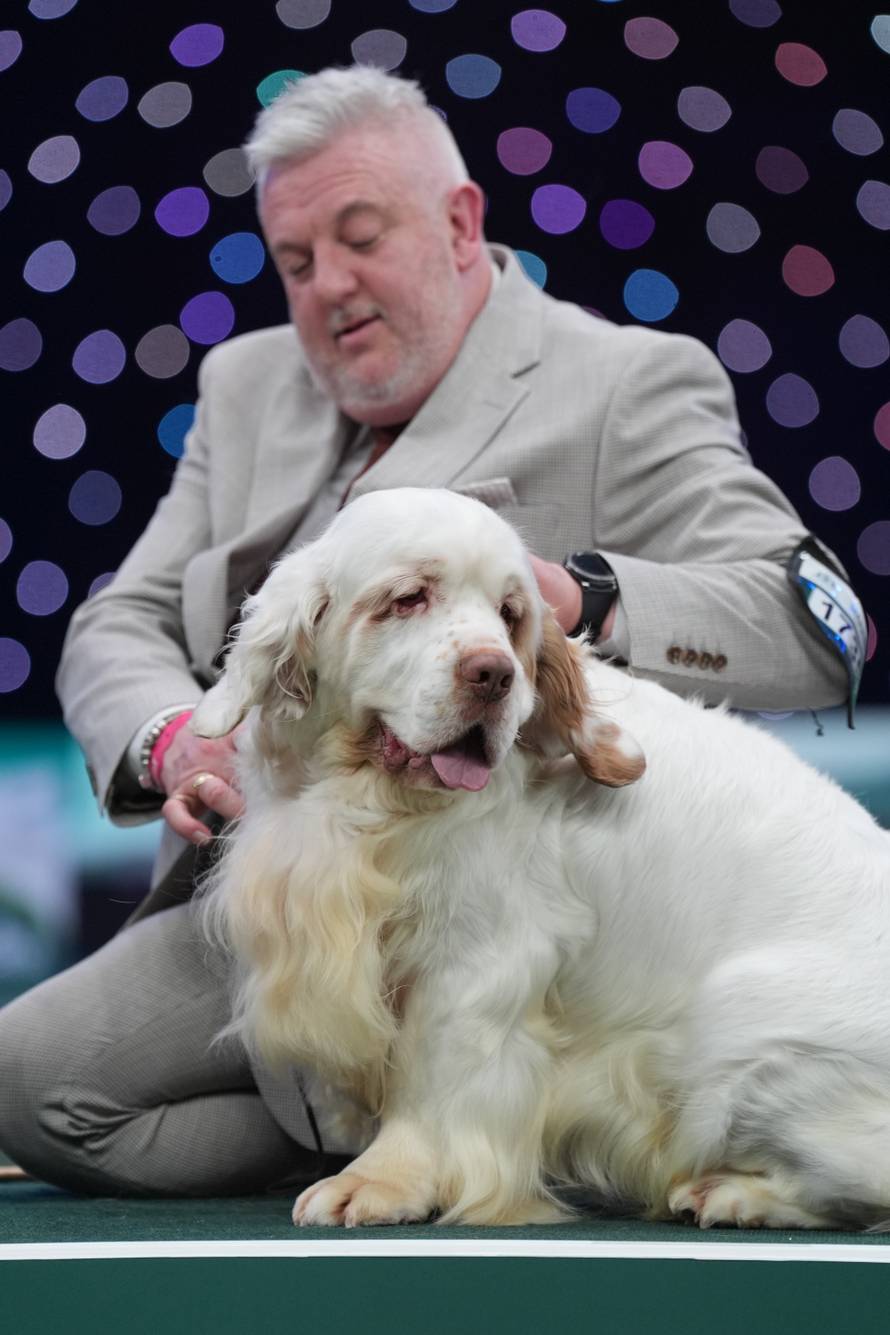Crufts Dog Show 2026 - Day Four