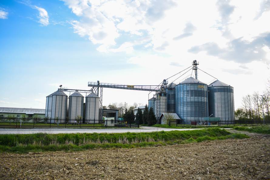 Spasimo hrvatsku proizvodnju jaja i hrvatske farmere!