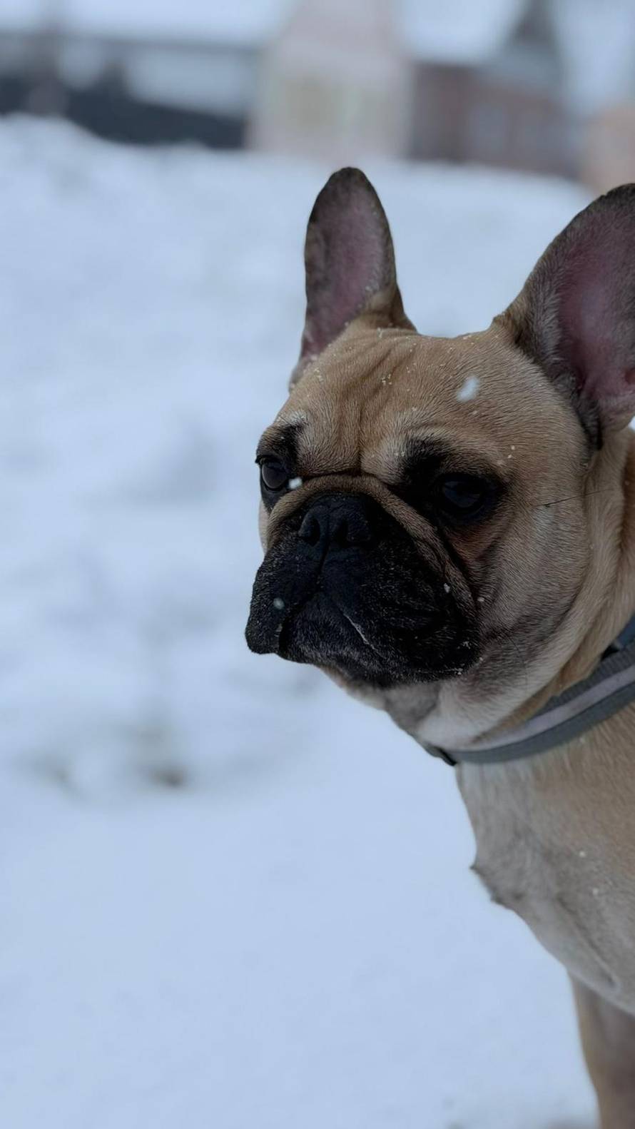 Općinska komunalka sama 'izlopatala' snijeg sa staze: 'Nema nikakve drame u tome'