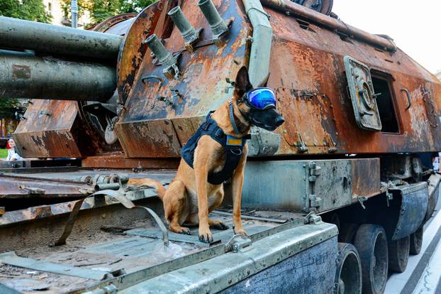 An exhibition displaying destroyed Russian military vehicles in central Kyiv - 23 Aug 2022