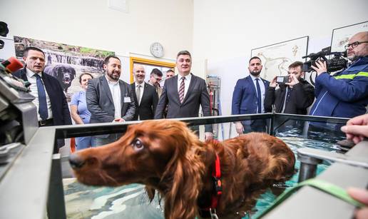 FOTO Milanović obišao Veterinu pa mu pažnju privukla kujica u vodi: 'Ozlijedila je kralježnicu'