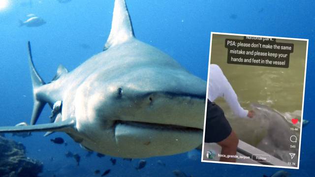 Šokantna snimka s Floride: Stavio ruku u vodu, morski pas ga povukao i bacio iz čamca