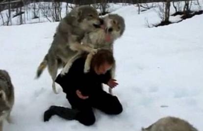 Šaptačica vukovima: 'Ljubimci' skakali od sreće kad je došla