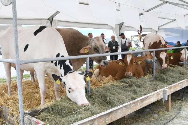 Gudovac: 32. izdanje međunarodnog jesenskog sajma