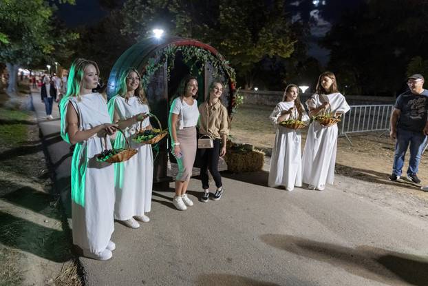 Ilok: Otvorenje 58. Iločke berbe grožđa