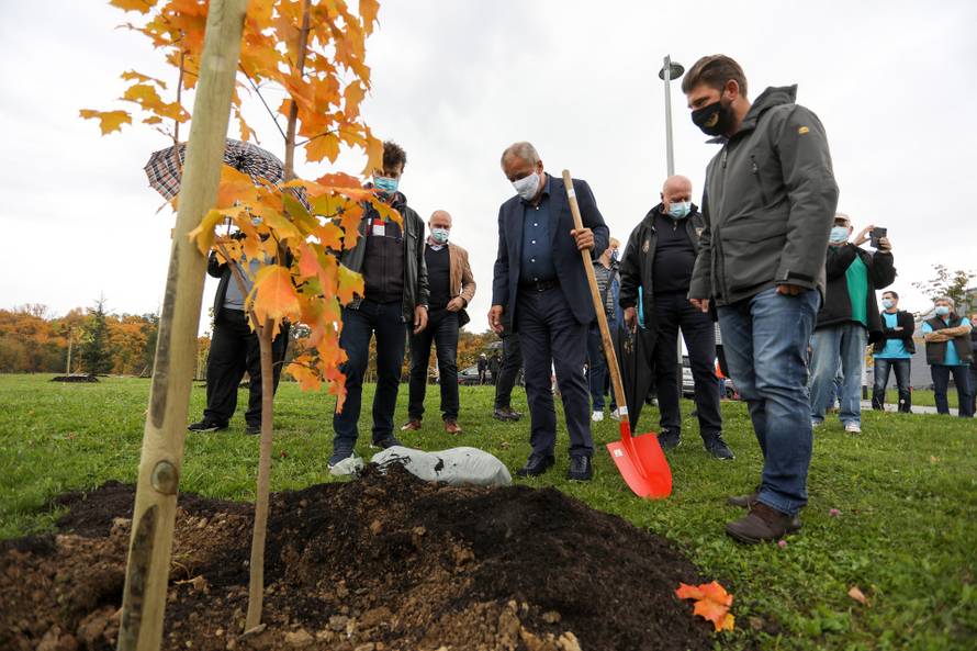 Zagreb: Oko crkve BDM Anđeoske u Dubravi zasađeno je 250 mladih stabala