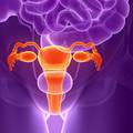 3D jajnici su spas za žene koje su ostale neplodne zbog raka