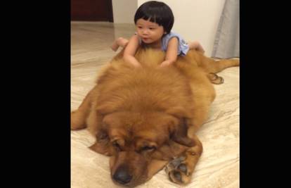 Djevojčica i veliki pas: Najslađi video koji ćete danas vidjeti!