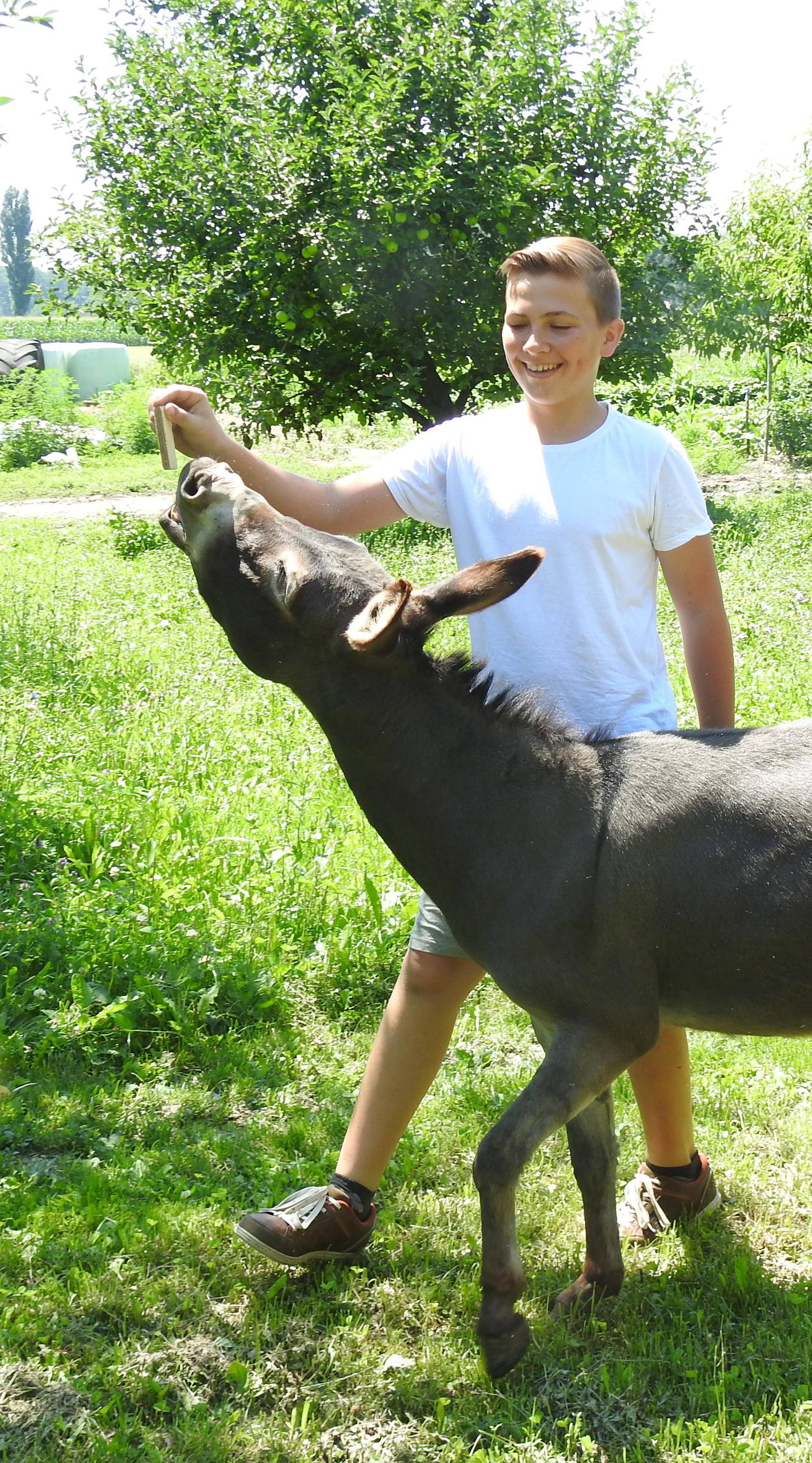 Mladi poduzetnik:  Lovro kupio je magaricu novcem od krizme