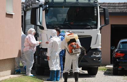 Drama u Baranji! Svinjogojci nisu htjeli pustiti veterinare iz dvorišta: 'Ne damo naše svinje!'