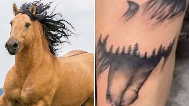 Išao tetovirati konja, nije dobro završilo: 'Ovo nije slučajno'