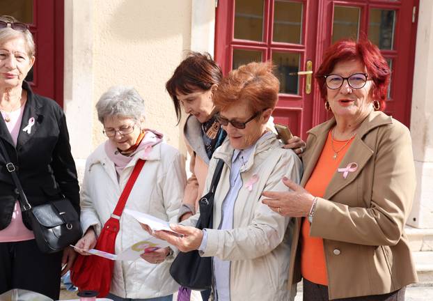 Šibenik: 25. Dan ružičaste vrpce obilježen ispred kazališta edukativnim materijalom i ružičastim vrpcama