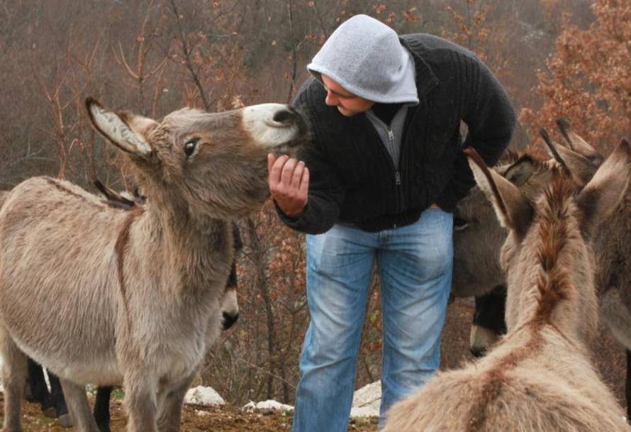 Ivana Ivanović/PIXSELL