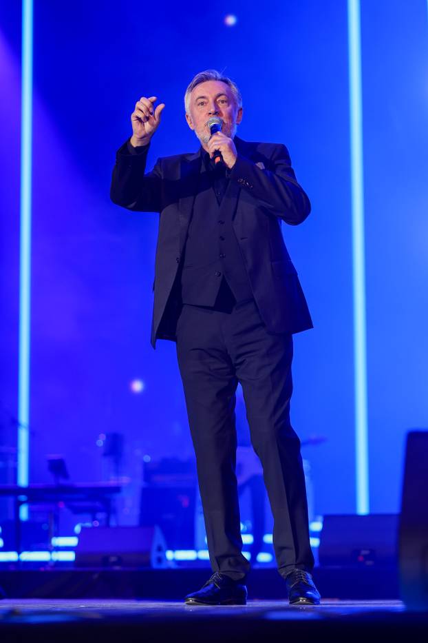 Koncert Domu mom u Zagrebačkoj Areni