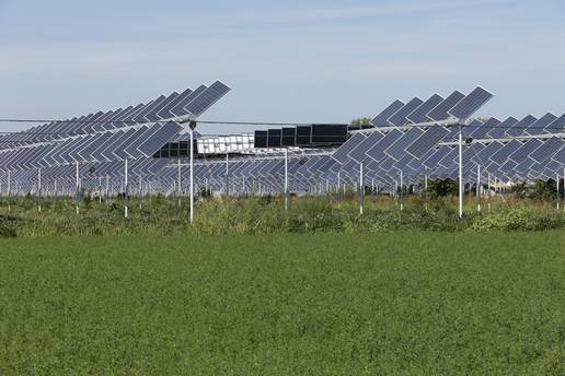 Agrovoltaika: Kako bi prehranili sve brojnije stanovništvo, poljoprivrednici se okreću Suncu