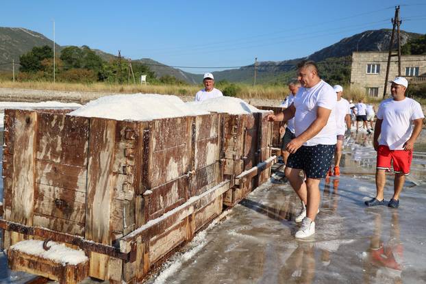 Berba soli u Stonskoj solani