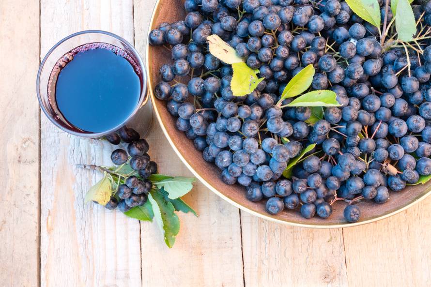 Uzgojite aroniju sami i uživajte blagodatima brojnih vitamina