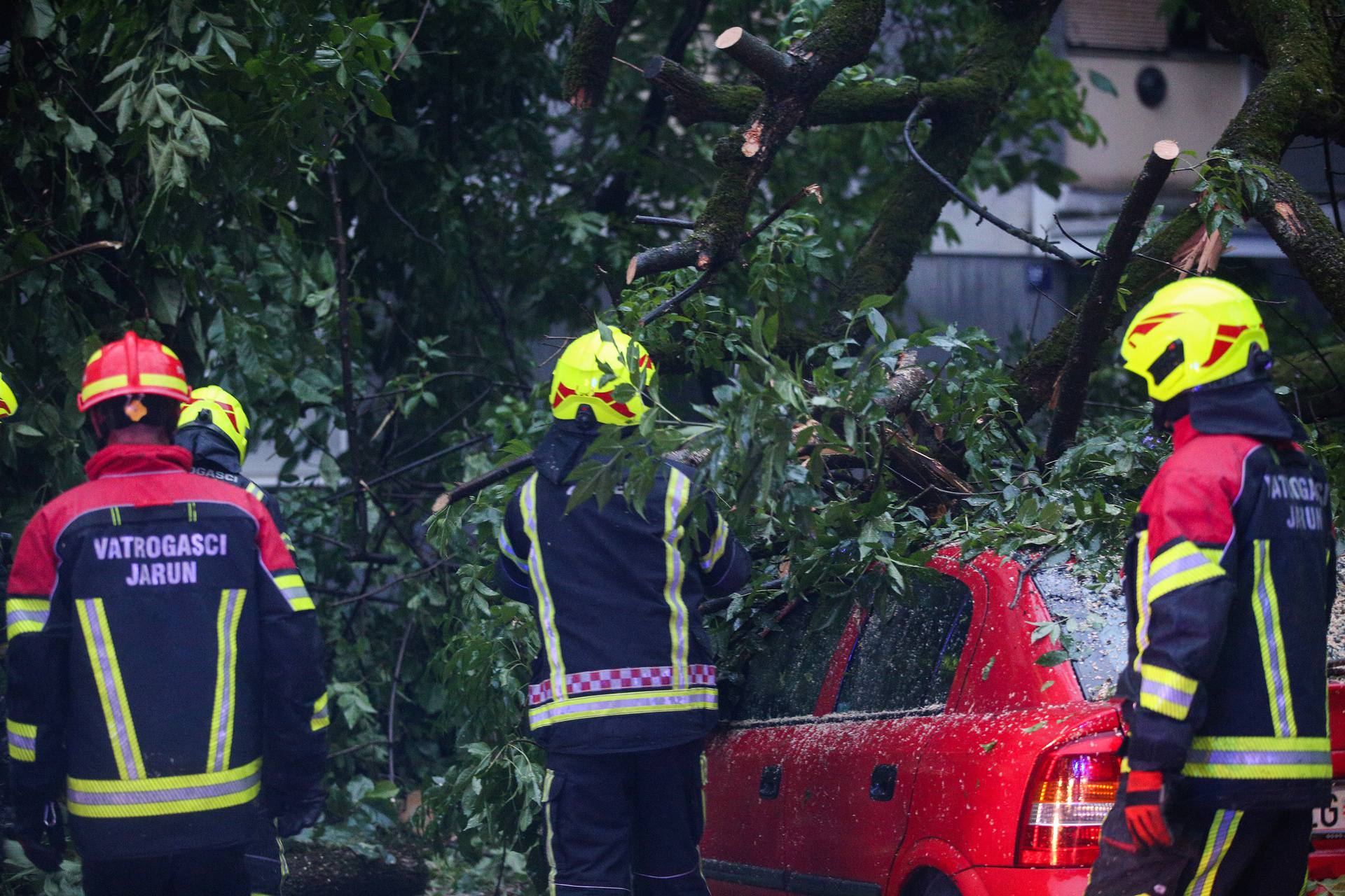 Zagreb: Na parkirane automobile u Trnskom srušilo se stablo