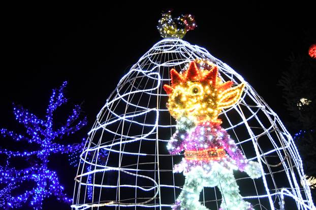 Grabovnica: Započela božićna čarolija svjetla obitelji Salaj