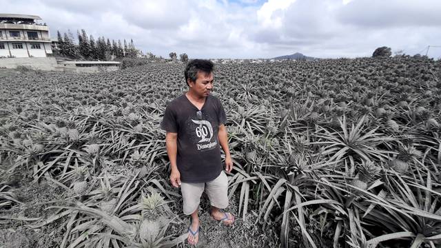 Farmer Jack Imperial, 49, poses for a portrait in his pineapple plantation covered with ash from the erupting Taal Volcano