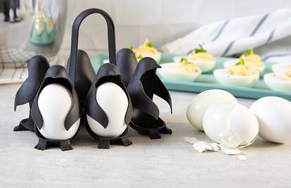 Inovacija za ljubitelje jaja: Ovi pingvini ih drže i dok se kuhaju