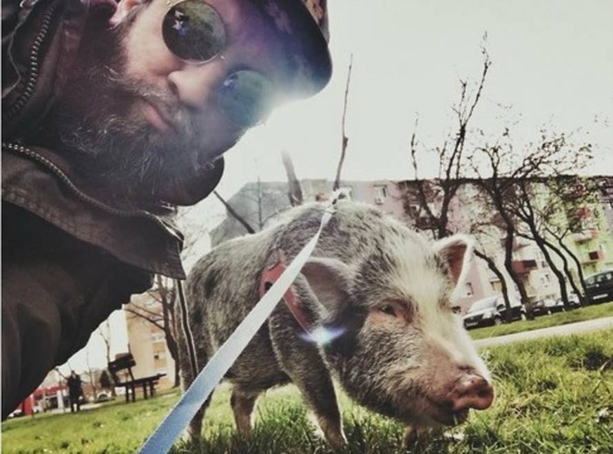 Praščić Bacon živi u stanu u Prečkom i obožava duge šetnje