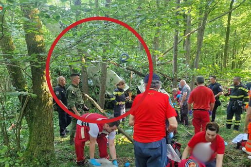 Ovo su slike s mjesta nesreće, HGSS o padu aviona: Našli smo ga u šumi, okrenuo se naopačke