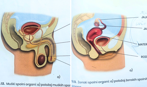 Ovo je udžbenik za 6. razred, pogledajte kako su prikazali muški, a kako ženski organ!