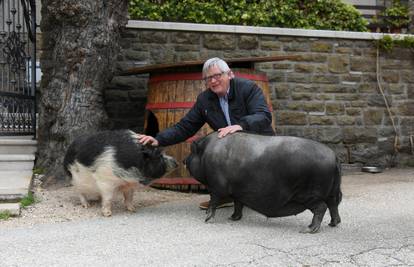 'Moje svinje Điđi i Pepa najviše vole palačinke s marmeladom'