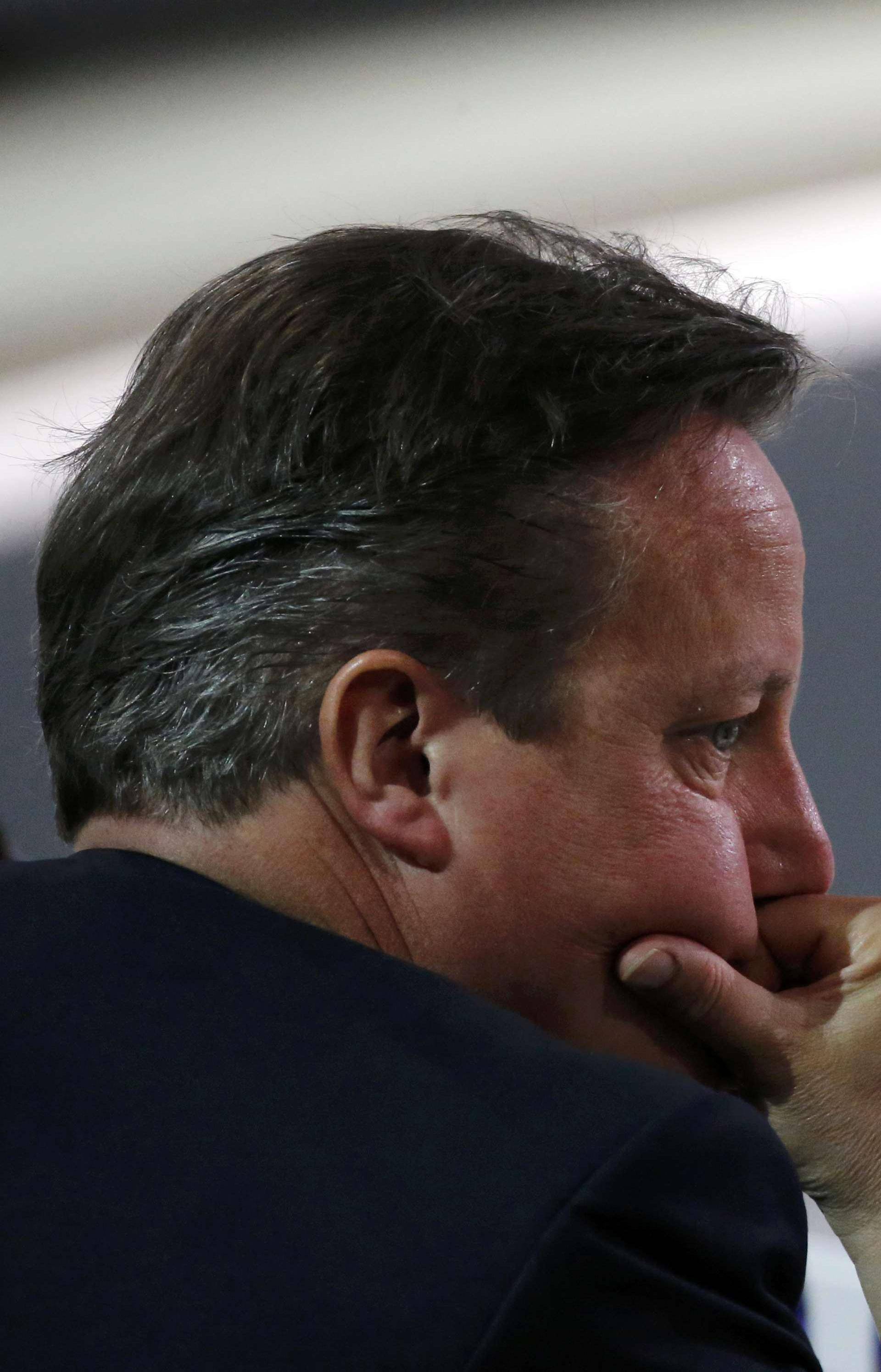 Cameron: Britanci su suočeni s "egzistencijalnim izborom"