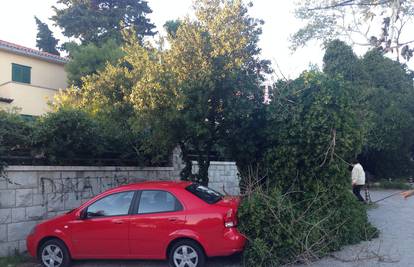 Stablo iz čista mira palo na parkirani automobil u Splitu