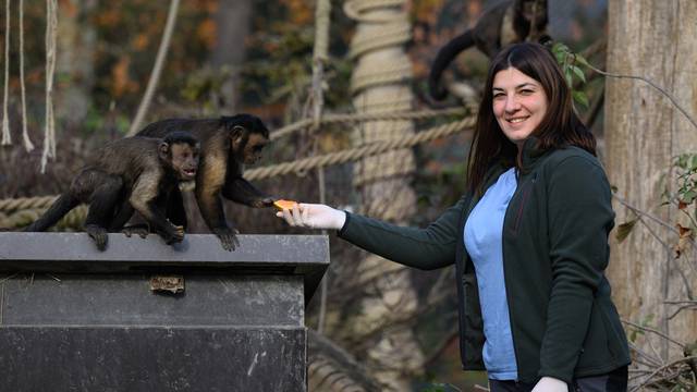 Zagreb: Elena Račevska, timariteljica u Zoološkom vrtu