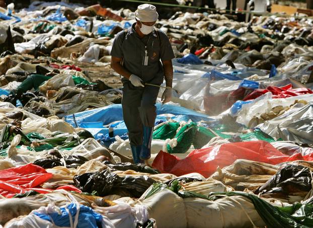 FILE PHOTO: A Thai health official sprays hundreds of decaying corpses at a temple in Ban Muan