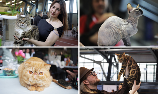 FOTO Ma&ccaron;ja elita na Kantridi: Rijeka je postala sredi&scaron;te me&dstrok;unarodne izlo&zcaron;be ma&ccaron;aka