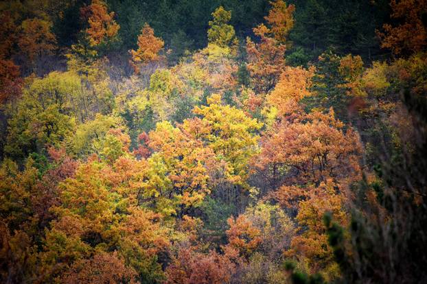 Vodice: Jesenja mističnost Ćićarije