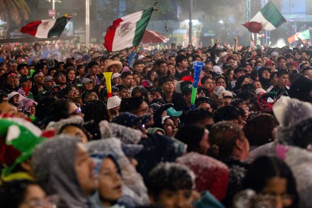 Four dead as huge crowds celebrate Mexico's World Cup win