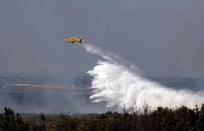 Bibinje: U požaru izgorjelo nisko raslinje i borovina