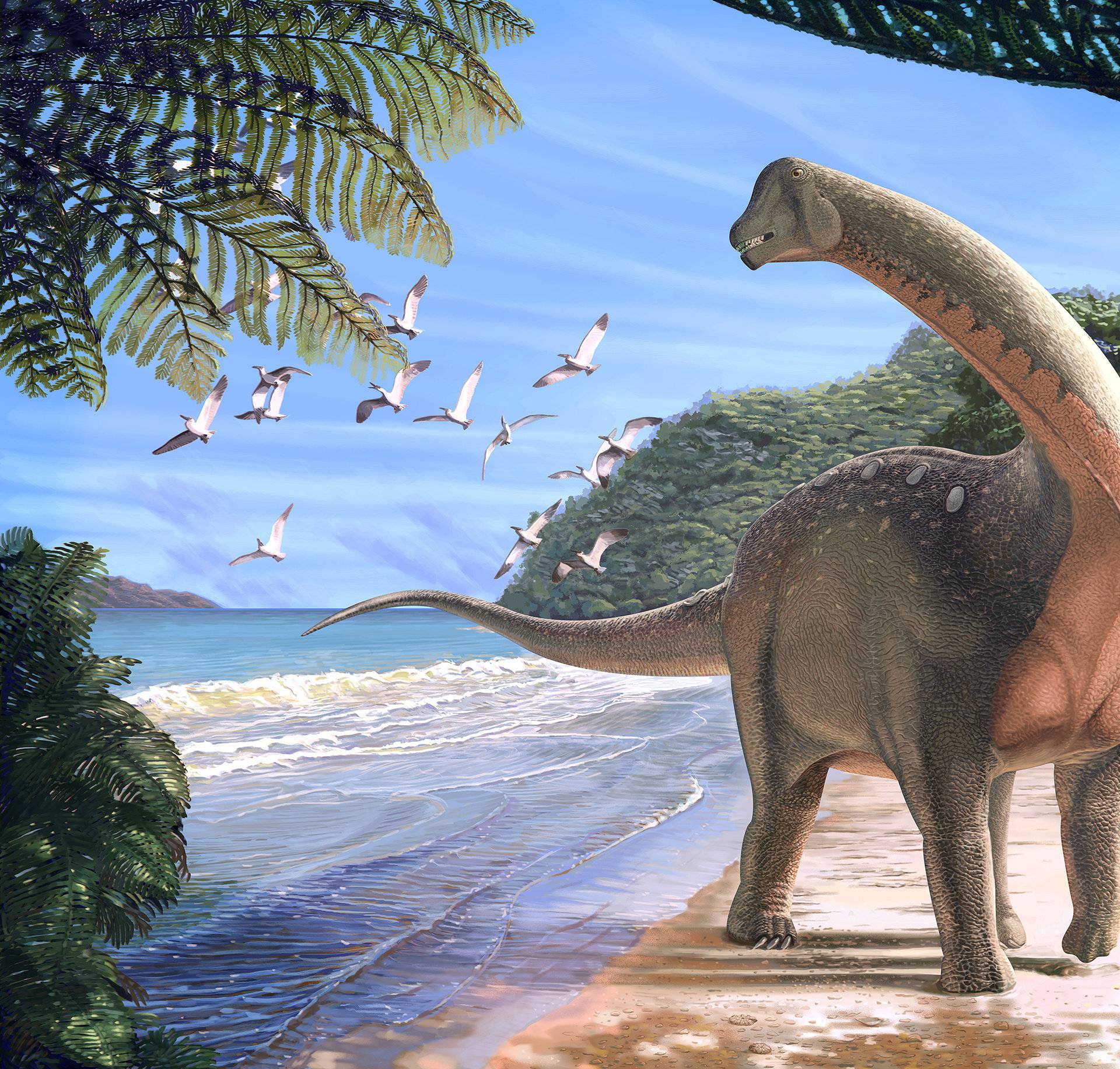 Artist's life reconstruction of the titanosaurian dinosaur Mansourasaurus shahinae on a coastline in what is now the Western Desert of Egypt approximately 80 million years ago is pictured in this handout image