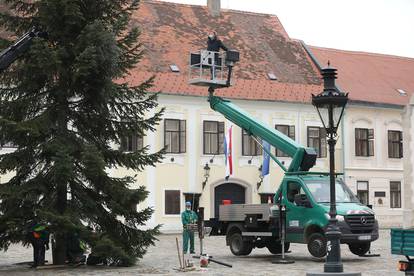 Zagreb: Radnici Zrinjevca postavili su bor na Trg svetog Marka