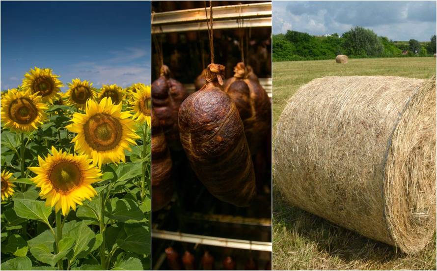 To je neotkriveni kutak Europe: Francuzi zaljubljeni u Slavoniju