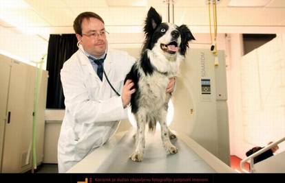 Otvorena klinika za životinje oboljele od raka