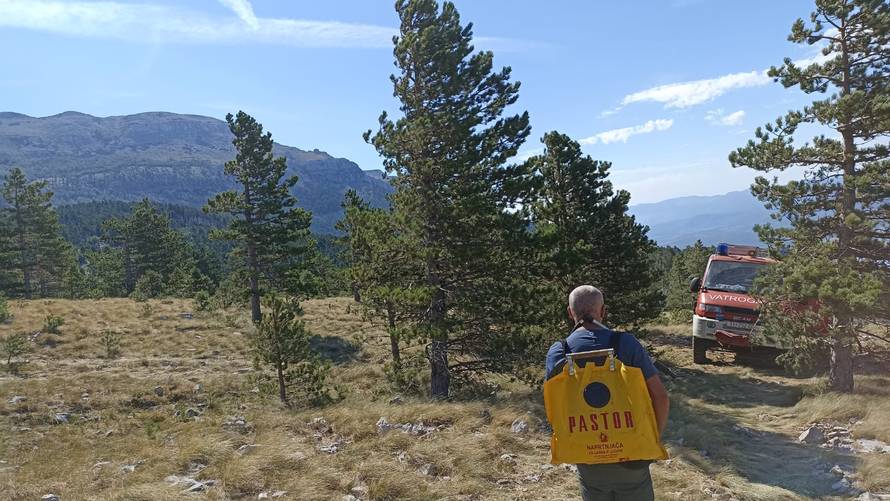 VIDEO Požar danima 'guta' Dinaru: 'Situacija nije dobra, riječ je o velikoj vatrenoj liniji'