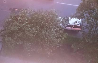 Zagreb: Vjetar rušio stabla, poplavljeni deseci podruma