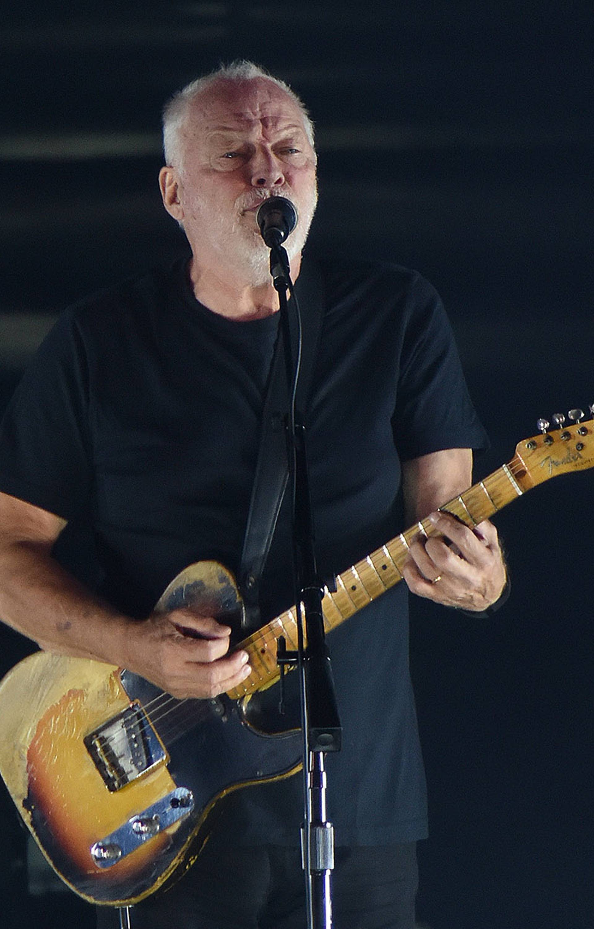 Gitarist Pink Floyda dao 140 mil. kuna za zaštitu planeta