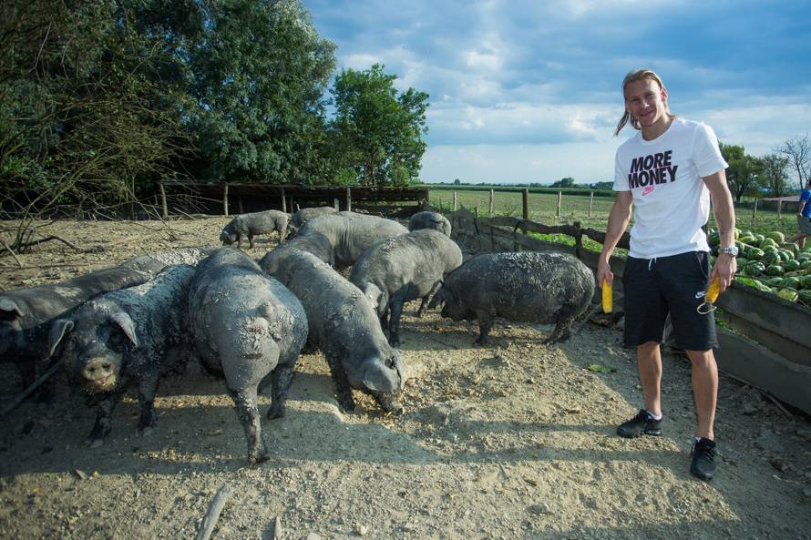 Vidi dobro sa svinjama, a Dario Šimić se obogatio na 'vodi'...
