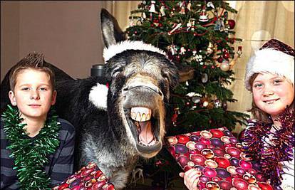 Sretna obitelj slavi Božić i otvara darove s magarcem