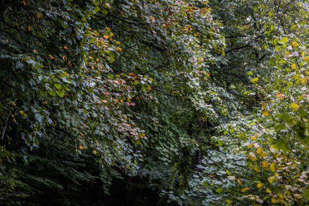 Kišno jesenski ugođaj na Plitvičkim Jezerima