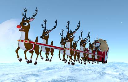 Sob Rudolf se proslavio jer je svojim crvenim nosom osvjetljavao put Djedu Mrazu