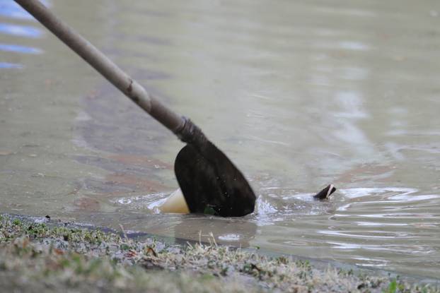 Osijek: Istarska ulica poplavljena nakon kiše